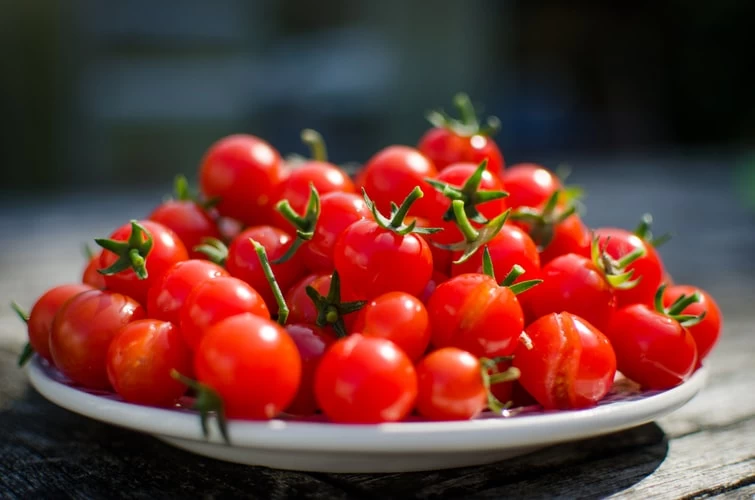 В Калининградской области начнут выращивать помидоры черри