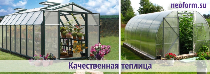 kachestvennaya_teplica.jpeg kachestvennaya_teplica.jpeg