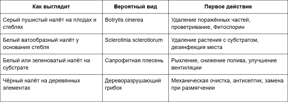 3 Диагностика плесени краткая памятка.png