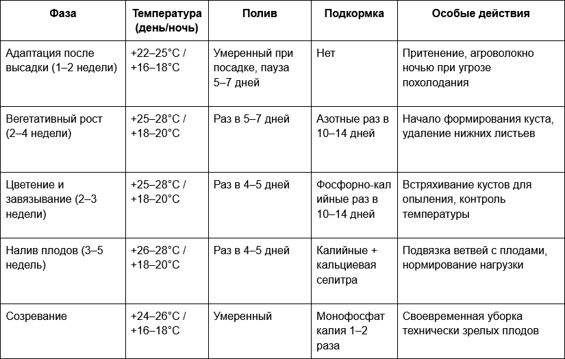 4 Таблица - Схема ухода за баклажанами в тепличном пространстве по фазам.png