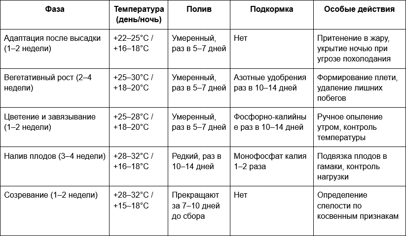 2 Таблица - Схема ухода за арбузом по фазам развития.png