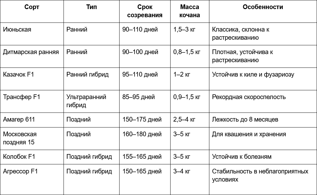2 Лучшие сорта крестоцветной культуры для тепличного выращивания.png