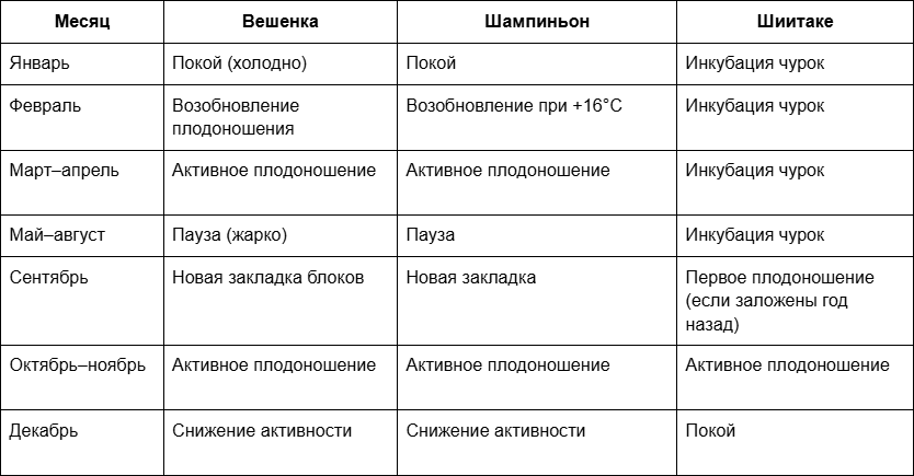 3 Сезонный календарь тепличного грибоводства в Подмосковье.png