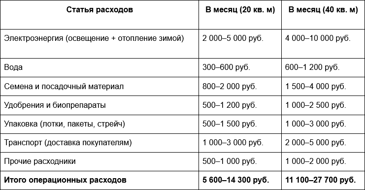 Таблица 4 - Ежемесячные операционные расходы.png