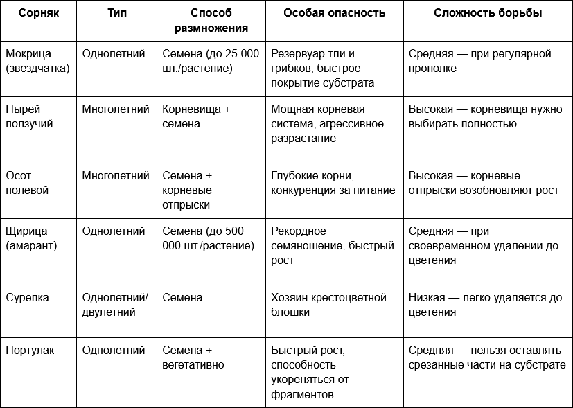 1 Таблица - Наиболее распространённые сорняки в тепличном пространстве.png