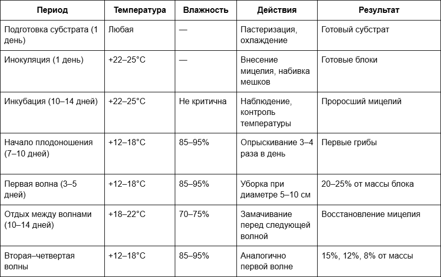 2 Календарь выращивания вешенки в тепличном пространстве.png
