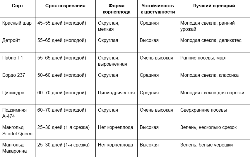 2 Лучшие сорта свеклы для тепличного выращивания.png
