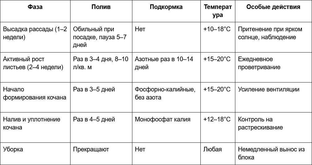 3 Схема ухода за ранней капустой в закрытом пространстве.png