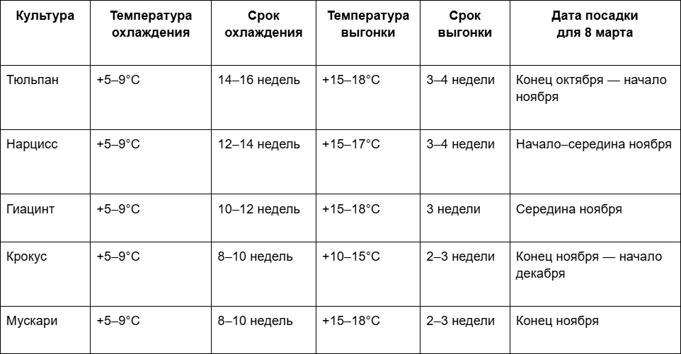 3 Сроки выгонки луковичных к праздникам.png