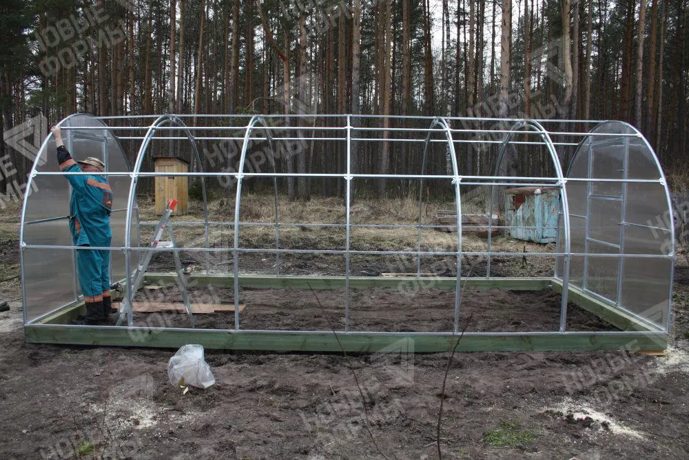 Фото к отзыву: Отзыв о теплице Кремлевская Цинк, г. Владимир (2)