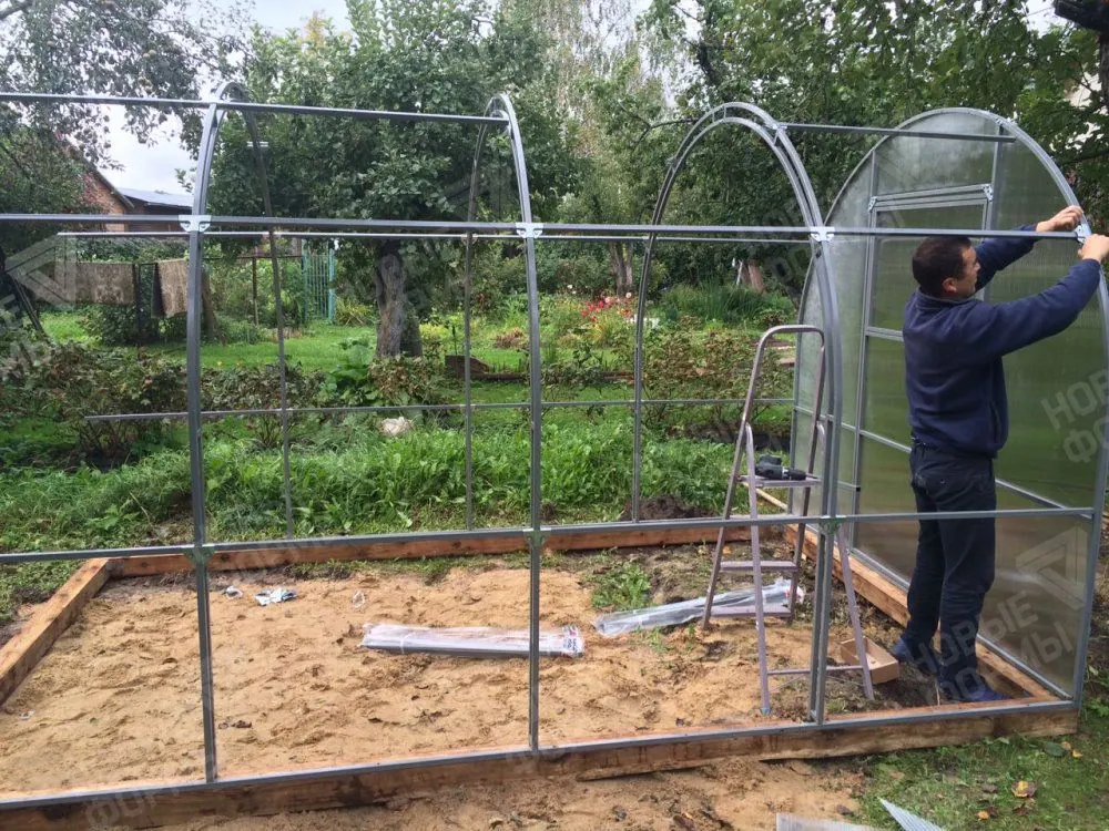 Фото к отзыву: Отзыв о теплице Кремлевская Люкс, Карбогласс. Городской округ Домодедово (4)