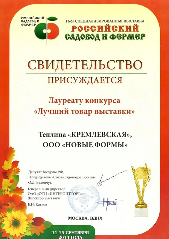Сертификат 10
